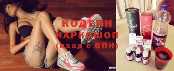 прущие грибы Медвежьегорск