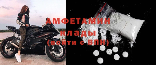 прущие грибы Медвежьегорск