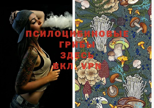 прущие грибы Медвежьегорск