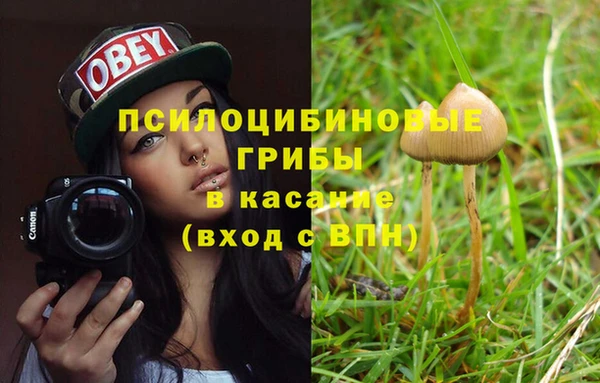 прущая мука Михайловск