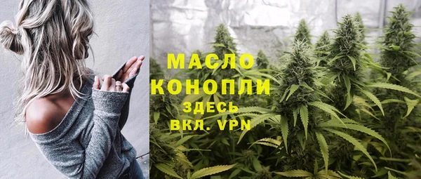 МДПВ Михайлов