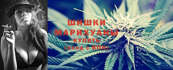 МДПВ Михайлов