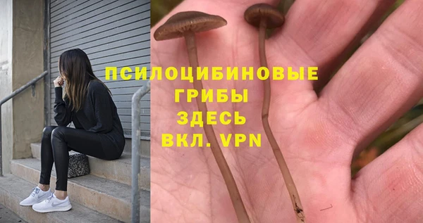 МДПВ Михайлов