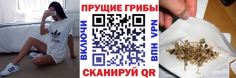 купить  сайты  Южно-Сахалинск  blacksprut ссылка  Галлюциногенные грибы Cubensis 