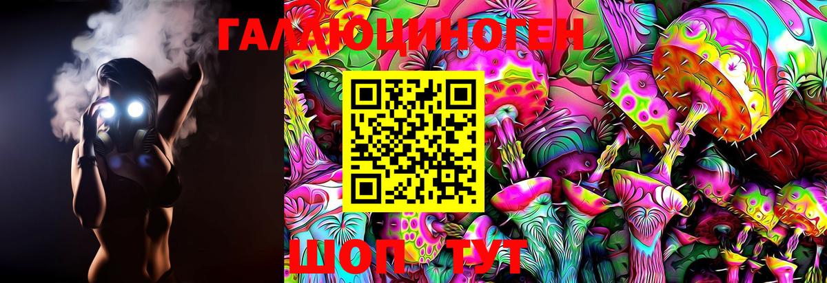 Галлюциногенные грибы Psilocybine cubensis  Вход с VPN  Псилоцибиновые грибы Psilocybe  Южно-Сахалинск 